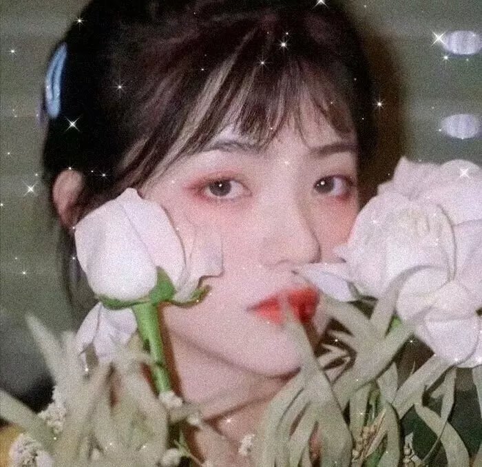 舞法天女朵法拉